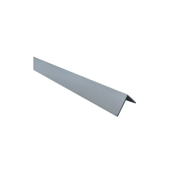 лайсна Г обр 20/20 2.7м сребро скосена